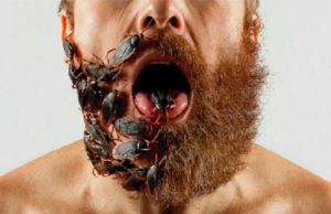 Científicos demostraron que la barba tiene tantas bacterias como un retrete