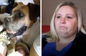Familia paga a veterinaria para que sacrifique a su perra, a los 6 meses la mentira les explota en la cara