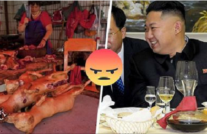 En Corea del norte su líder exige que se golpee a los perros hasta la muerte para que su carne sepa mejor