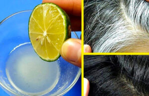 Remedio Natural que elimina las canas de raíz