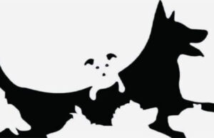 ¿Cuál es tu edad mental? dinos cuántos perros ves y descúbrelo en este test de personalidad