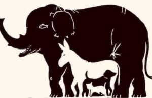 La cantidad de animales que encuentres revelara mucho sobre tu personalidad