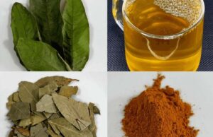 Bebida natural que transformó mi salud a los 70 años