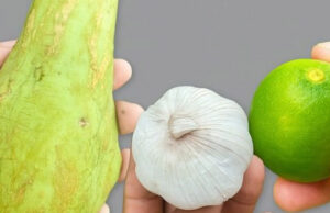 Chayote, limón y ajo: un combo saludable que no te puedes perder