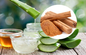 Recetas Saludables: Canela y Aloe Vera