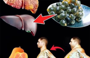 Semillas de Papaya: Beneficios para el Hígado y Pérdida de Peso
